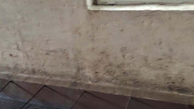 Скупий платить двічі. Чергова РЕКОНСТРУКЦІЯ смотреть онлайн