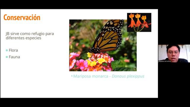 ¡Jardín Botánico FESCuautitlán: espacio de enseñanza, conservación, divulgación e investigación! смотреть онлайн