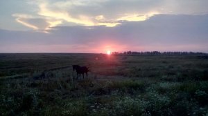 Окрестности села Алешки Терновский район Воронежская область