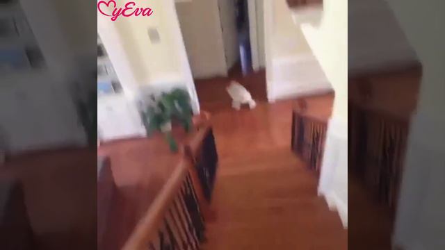 Вот что значит  друзья и веселье