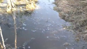 Потоп Ушумун