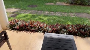 Citrus Hikkaduwa 2022, обзор отеля