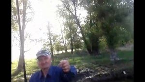 Крокодил как фидер Эксперимент