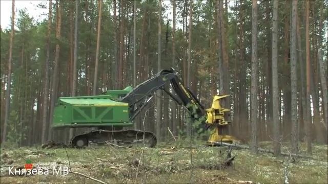 Димыч "Берегите природу Вашу мать" смотреть онлайн