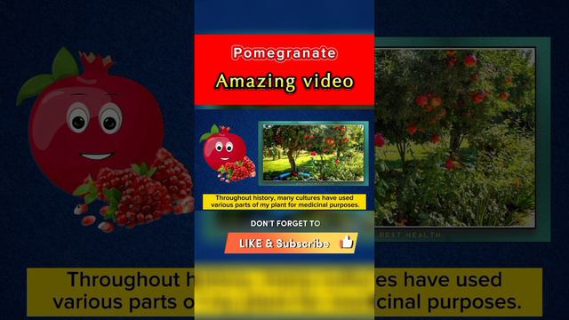 Pomegranate Amazing Video#shortvideo #trending #tiktok #youtubeshort #viralshort #ytshort #virals