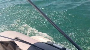 Морская прогулка в Сочи на лодке Ракета РЛ 380. Лодка с тентом и лесенкой для купания. 26 июня 2023