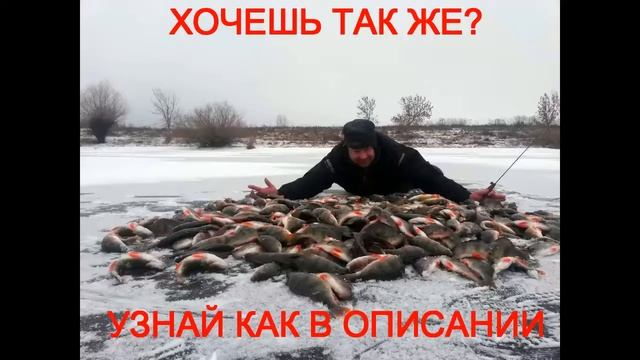 криль прикормка