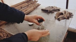 Очень простое и бюджетное отопление в теплицу своими руками из подручных вещей