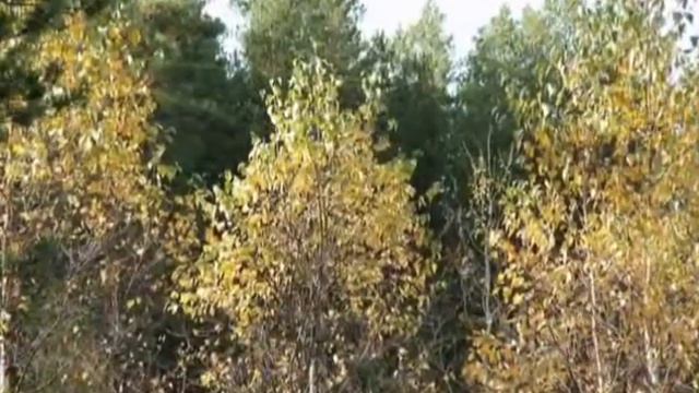 Канун зимы - Eve of the winter смотреть онлайн