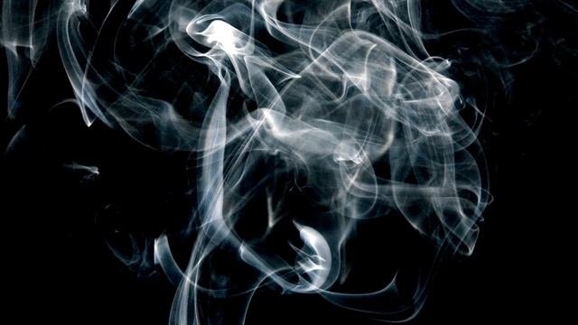 Misha BERKUT & Polina OSETINSKAYA play Astor Piazzolla 'Le Grand Tango' for viola and piano смотреть онлайн