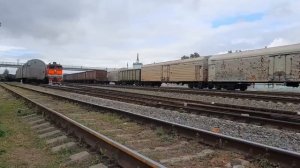 Железнодорожный переезд со шлагбаумом и барьерами. Смотрим грузовые поезда.