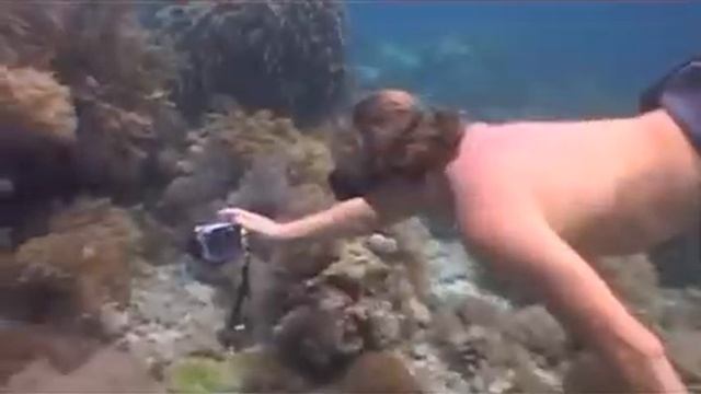 Каракатица смотреть онлайн