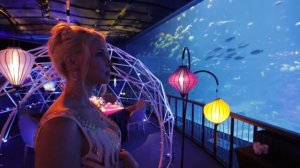 Aqua gastronomy или самые необычные рестораны Сингапура