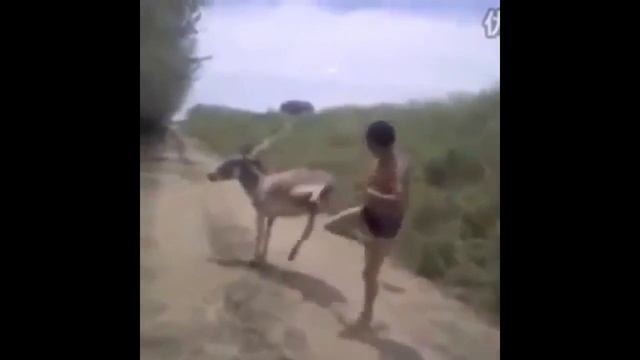 Свежие приколы 2018 