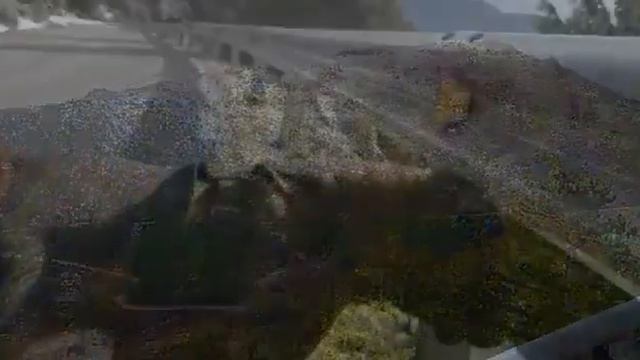 Красивый Шарпей!!! Моя Калина !! Mi bonito Shar pei!! смотреть онлайн