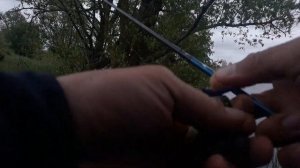 Ловля окуня на спиннинг или когда окунь не клюет