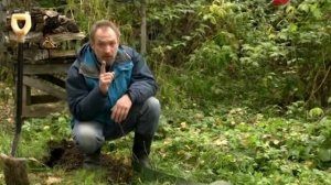 Усадьба  Огородные вредители  Грызуны 2013