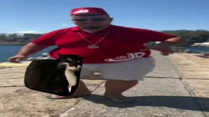 КОТ МАКСВЕЛЛ И СКИБИДИ ДОП ДОП