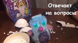 Обзор Хетчималс