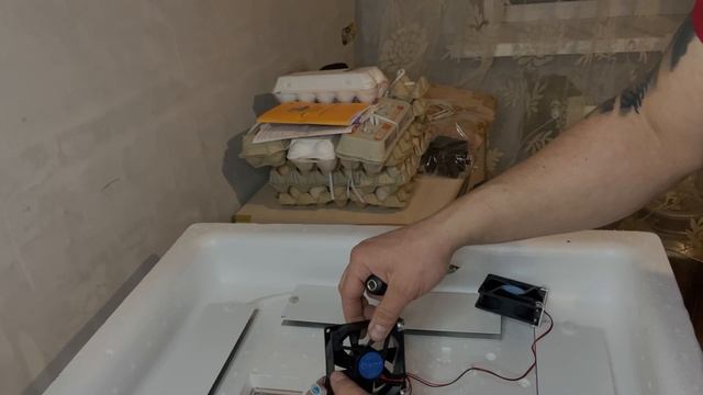 Инкубатор несушка 104 с вентиляторами. Где купить? Как собрать? Обзор смотреть онлайн