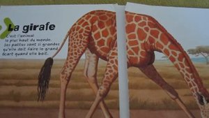 Животные саванны часть 1#Savanne#Les animaux# Animals of Savanne