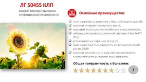 Обзор гибрида ЛГ 50455 КЛП / Гибрид подсолнечника