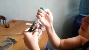 Кормление птенца щегла.  feeding chicks