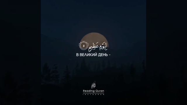 Коран Сура 83 «Обвешивающие», аяты 4-6. Чтец: Ахмад Риджал