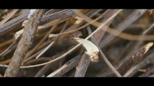 Большой Уссурийский остров