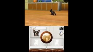 nintendogs + cats: French Bulldog & New Friends Playthrough Part 3