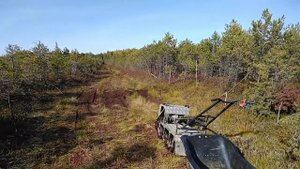 Мотобуксировщик "Омич" №23.  Болото, голубика