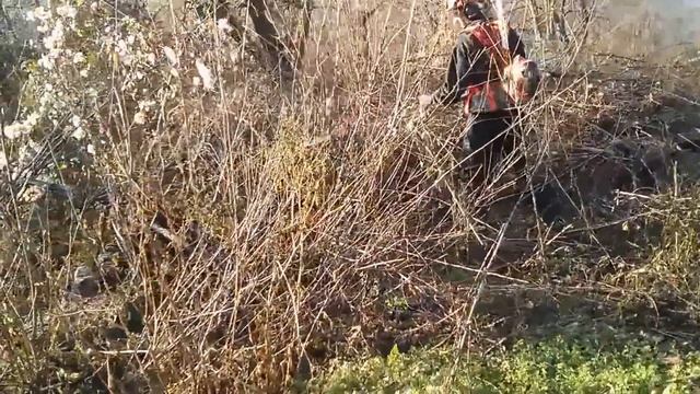 535 FBX best of HUSQVARNA смотреть онлайн