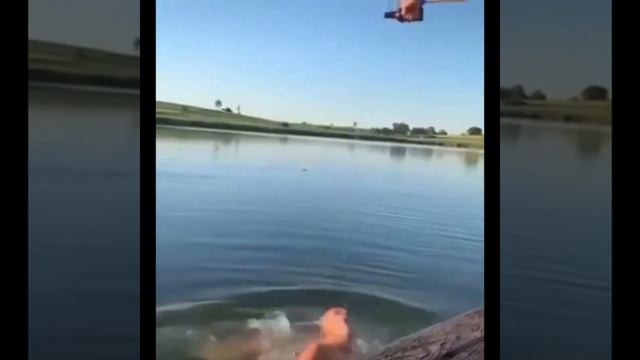 Какой корм такая и рыба смотреть онлайн