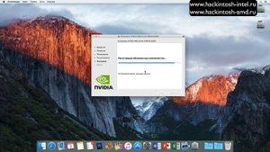 Как установить драйвера с сайта Nvidia для Mac OS X Hackintosh Clover