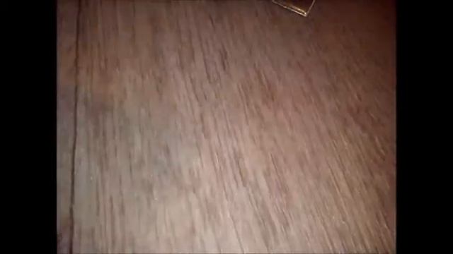 Мои Новинки Лошади♥ смотреть онлайн