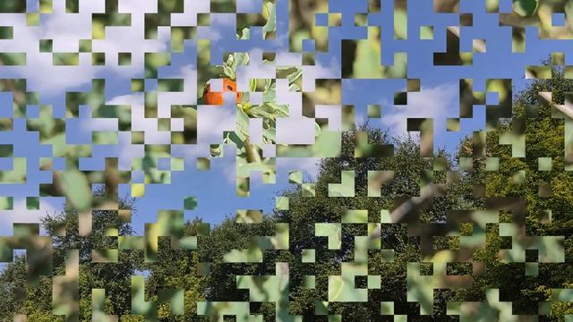 28 сентября праздник Никита Гусятник. Что нужно сделать. Главные запреты. Именинники дня.