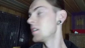 ВЫГОДНО ЛИ РАЗВОДИТЬ ПОПУГАЕВ - БИЗНЕС  С НУЛЯ- СНОВА НА ГНЕЗДО - РАЗВЕДЕНИЕ ВОЛНИСТЫХ ПОПУГАЕВ