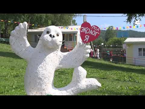 «Лето для здоровья» – о работе иркутского лагеря «Эколог»