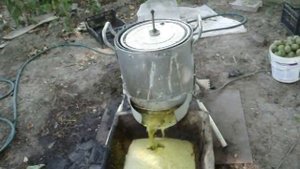 Очистка орехов от зелёной кожуры