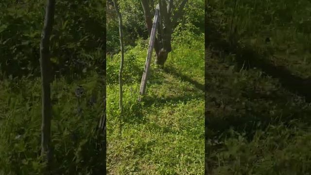 145). #радуга / # природа / #дача / #церковь в #Кузьминском/ #Теряево/#посадка деревьевьев/#кот кот смотреть онлайн