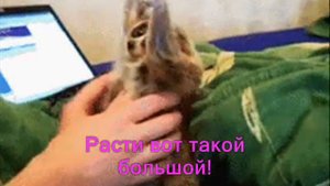 ***ЛЕРОЧКА, С ДНЁМ РОЖДЕНИЯ!!! ЛЕРЕ 20!***