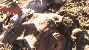 Мотоблок МТЗ с плугом .MPEG