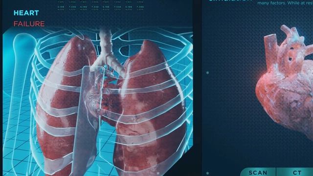 Что происходит с организмом, когда мы задерживаем дыхание смотреть онлайн
