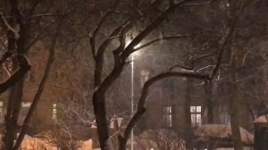 Призраки снегопада... Музыка Джастина Джонсона навеяла.