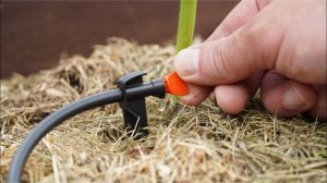 Капельный полив Жук с регулируемыми капельницами