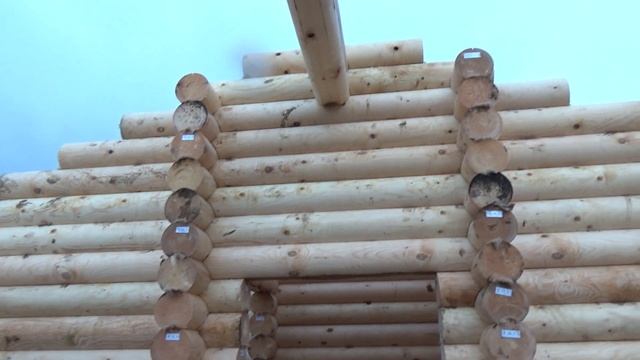 Сруб Бани 4.9х7.5м. с крыльцом из бревна "Таменгот". Цена в СПб 297.121 руб смотреть онлайн