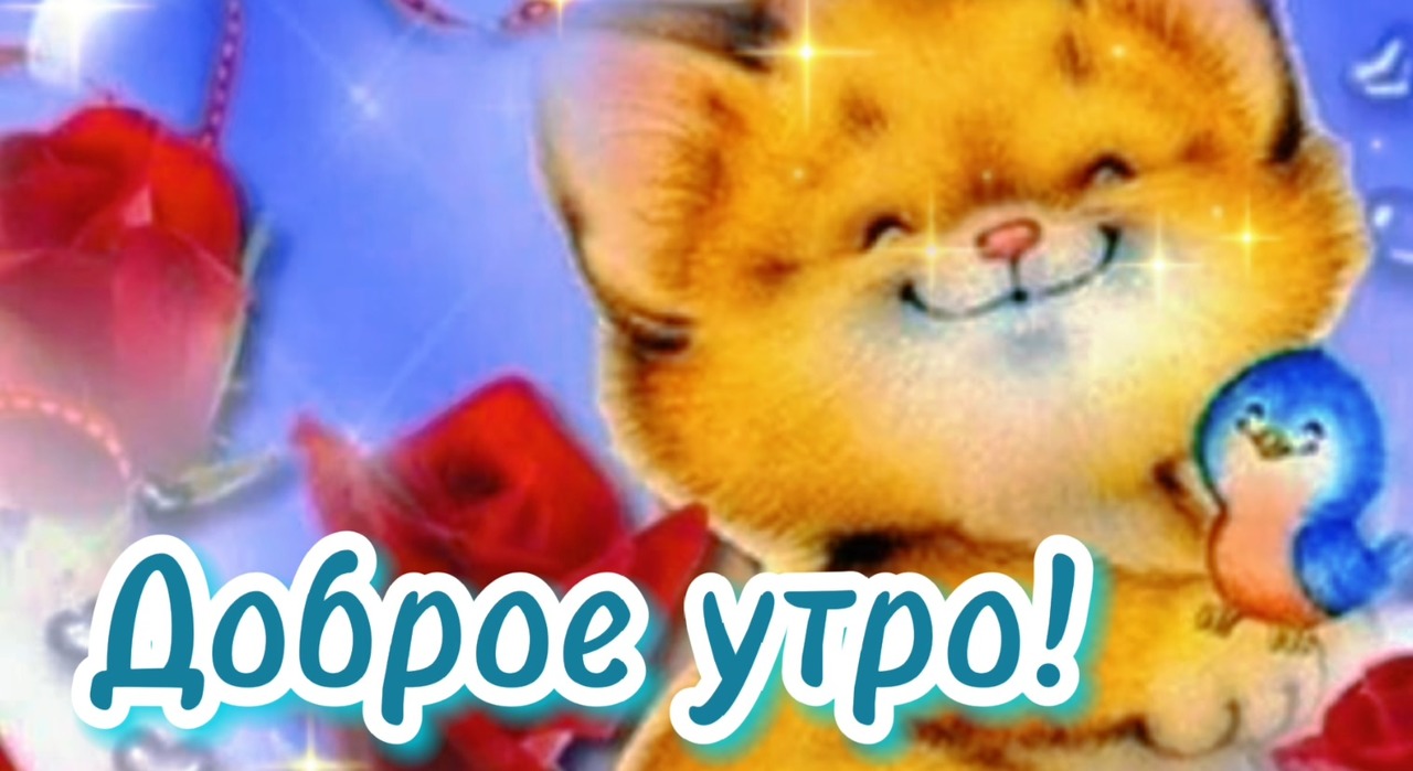 Доброе утро и отличного дня! Пожелание отличного дня Позитив. Красивая мелодия только послушайте