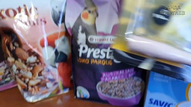 Зоопокупки - это мой релакс 😍