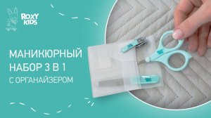 Маникюрный набор 3 в 1 с органайзером