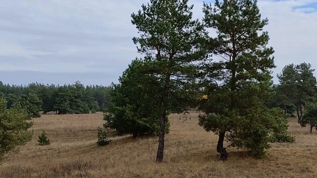 17 ноября народный праздник Еремин день. Народные приметы и традиции. Запреты дня. Именинники дня.
